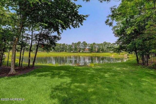 86 Wild Dunes Way, Jackson, NJ 08527 - view of grassy yard with a water view