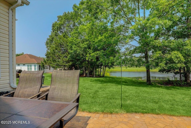 86 Wild Dunes Way, Jackson, NJ 08527 - view of grassy yard featuring a water view