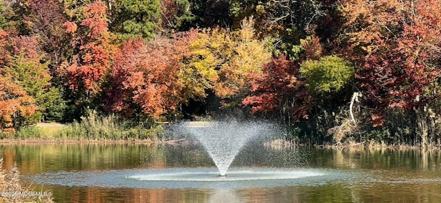 61 Mansfield Ave, Manchester, NJ 08759 - water view featuring a forest