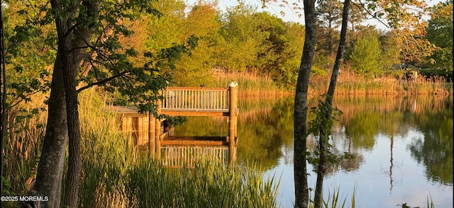 61 Mansfield Ave, Manchester, NJ 08759 - dock area featuring a water view and a view of trees