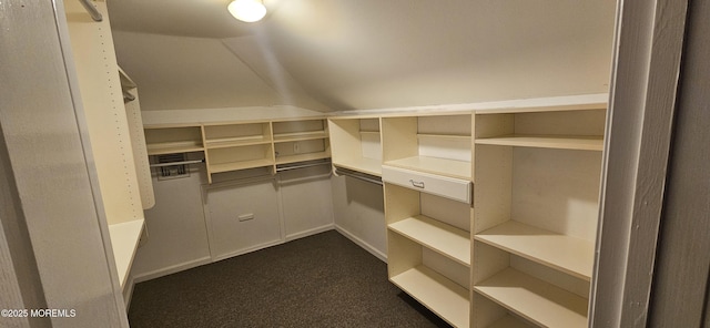 7 Quaker Hill Rd, Jackson, NJ 08527 - walk in closet with dark colored carpet and lofted ceiling