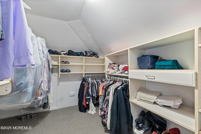 7 Quaker Hill Rd, Jackson, NJ 08527 - spacious closet with carpet floors and lofted ceiling