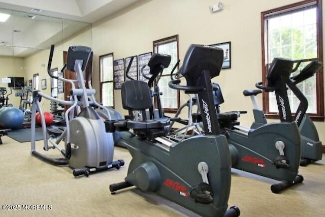 110 Rolling Meadows Blvd S, Ocean Twp, NJ 07712 - gym featuring carpet flooring