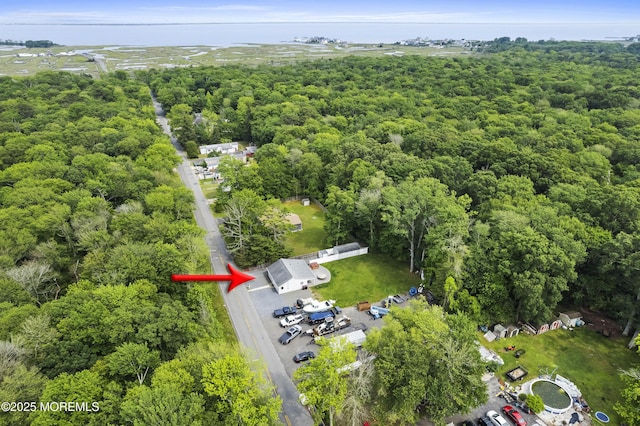 104 Sloop Creek Rd, Bayville, NJ 08721 - view of property location with a forest and a large body of water
