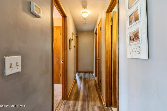 214 Conifer Dr, Forked River, NJ 08731 - hall with wood finished floors and baseboards