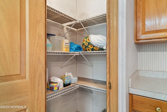 1104 Sycamore Ct, Whiting, NJ 08759 - view of pantry