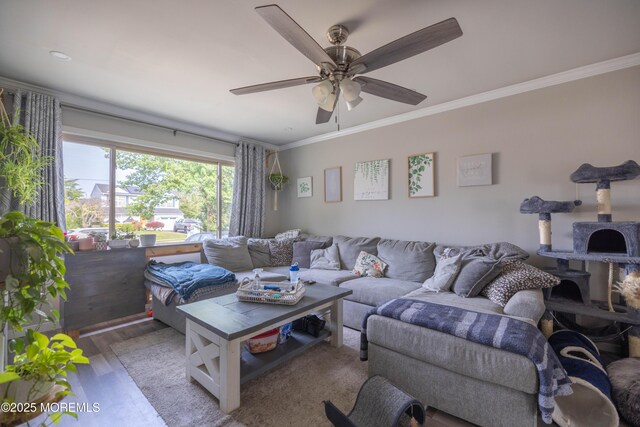 786 Nebraska, Toms River, NJ 08753 - photo 15