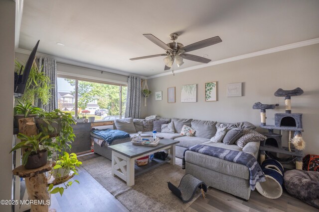 786 Nebraska, Toms River, NJ 08753 - photo 16