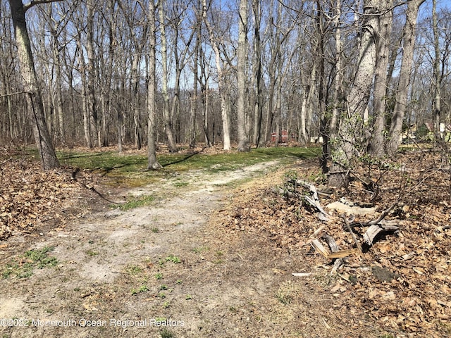 4 Kimberly Ct, Millstone, NJ 08510