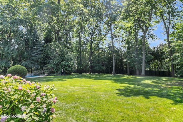 1 Van Cir, Rumson, NJ 07760 - view of grassy yard
