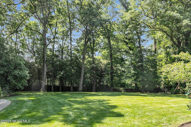 1 Van Cir, Rumson, NJ 07760 - view of yard