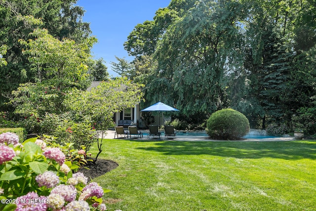 1 Van Cir, Rumson, NJ 07760 - view of green lawn with an outdoor pool and a patio area