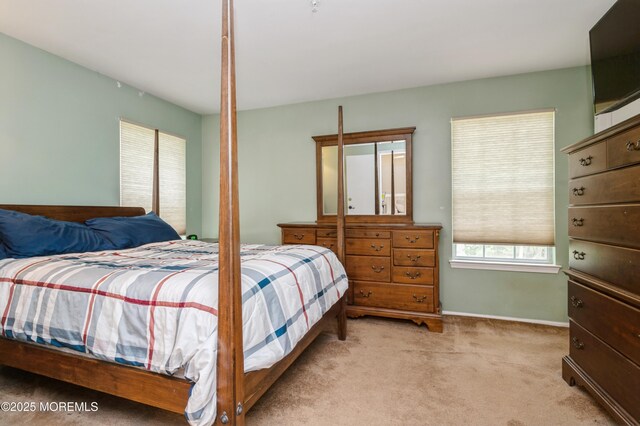 2707 Greenspire Ct, Toms River, NJ 08755 - photo 18