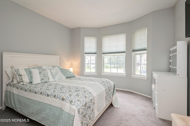 2707 Greenspire Ct, Toms River, NJ 08755 - photo 20