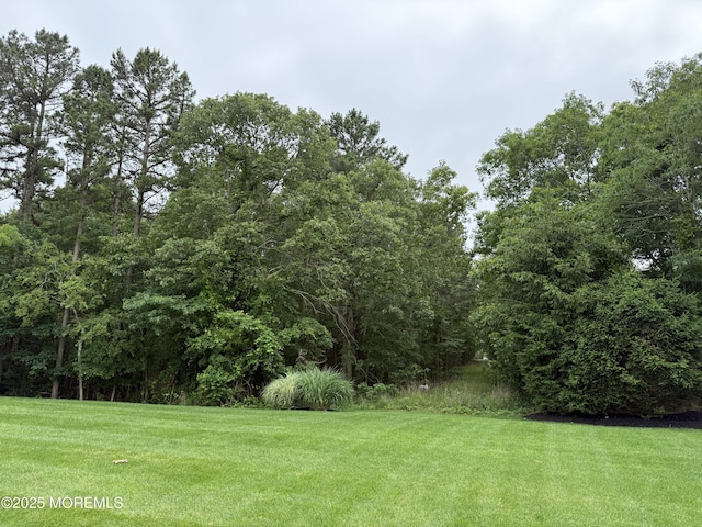 6 Eagle Ridge Ln, West Creek, NJ 08092 - view of grassy yard with a wooded view