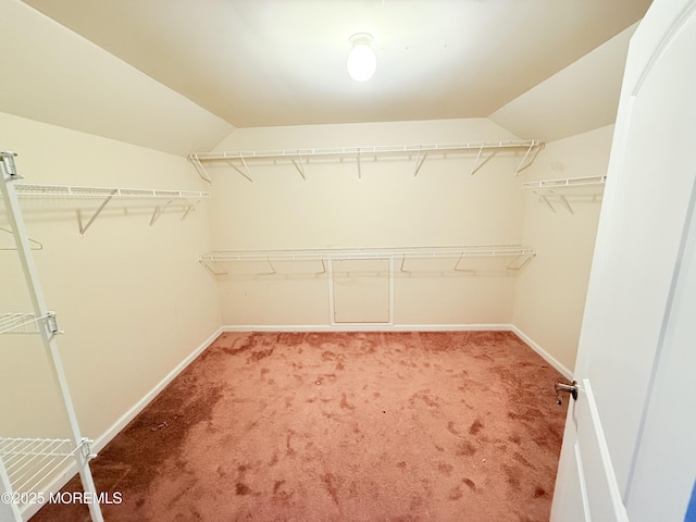 6 Eagle Ridge Ln, West Creek, NJ 08092 - walk in closet featuring light carpet and vaulted ceiling