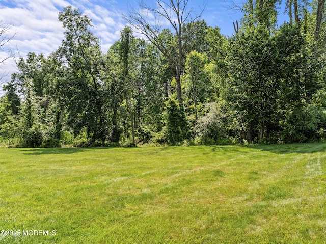 20 Birch Ln, Colts Neck, NJ 07722 - view of grassy yard