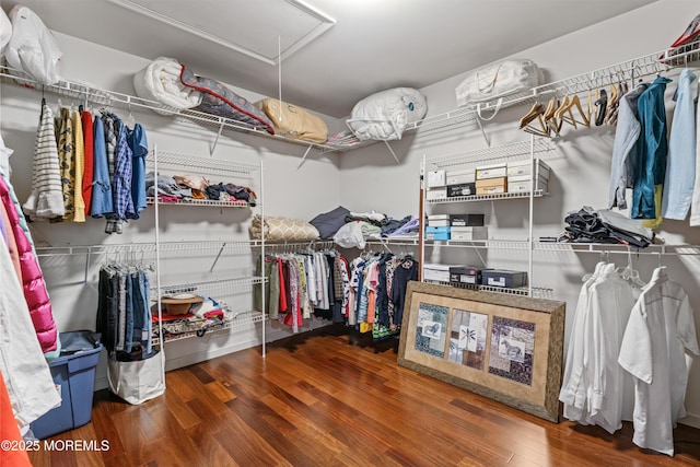 20 Birch Ln, Colts Neck, NJ 07722 - walk in closet featuring attic access and wood finished floors