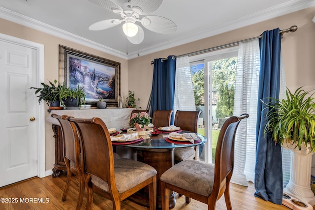 54 Baywood Blvd, Brick, NJ 08723 - photo 11