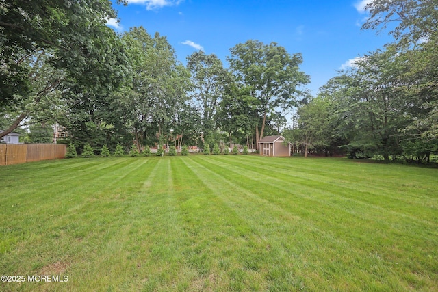 3 Mcelwaine Dr, Freehold, NJ 07728 - view of yard with a shed