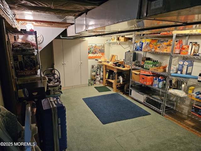 217 Betsy Ross Dr, Freehold, NJ 07728 - unfinished below grade area with a workshop area and carpet flooring
