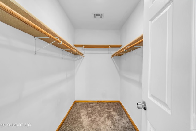 30 N Maplewood Dr, Brick, NJ 08723 - walk in closet featuring carpet floors