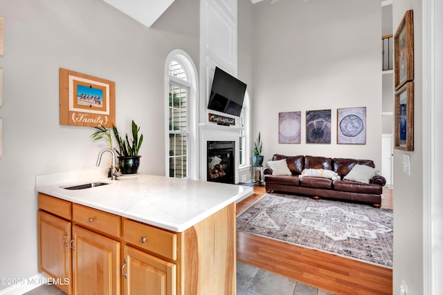 15 Conor Rd, Jackson, NJ 08527 - kitchen featuring a glass covered fireplace, open floor plan, light brown cabinets, light wood-type flooring, and light stone counters