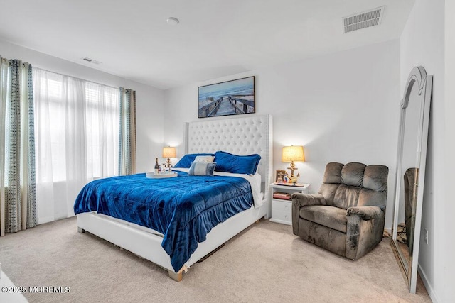 73 Aqueduct Blvd, New Egypt, NJ 08533 - bedroom with light colored carpet