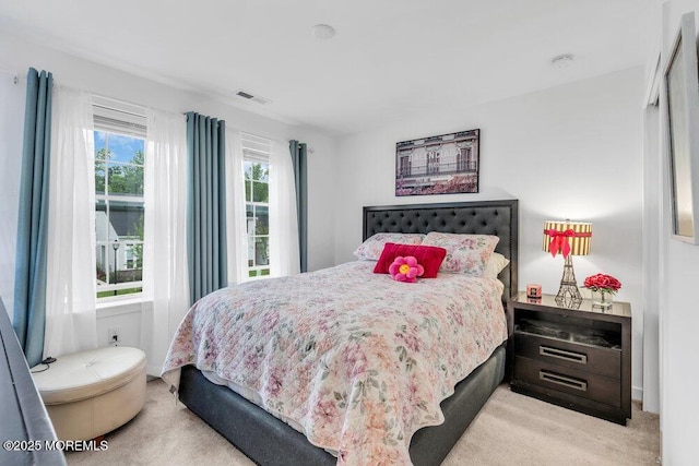 73 Aqueduct Blvd, New Egypt, NJ 08533 - bedroom with light carpet