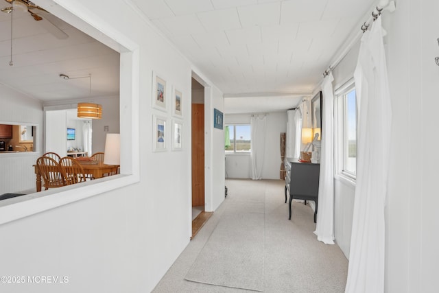 398 Kingfisher Rd, Tuckerton, NJ 08087 - hallway with light carpet