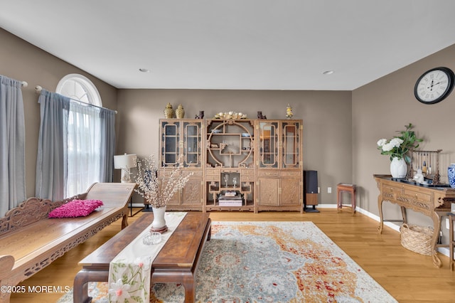 47 Lori St, Monroe, NJ 08831 - living room with light wood finished floors and recessed lighting