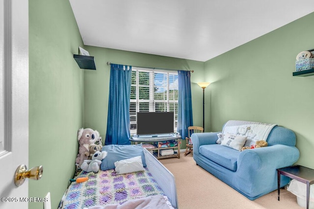 41 Hampshire Blvd, Jackson, NJ 08527 - view of carpeted bedroom