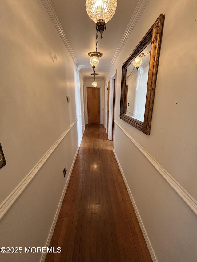426 Shady Ln, Howell, NJ 07731 - corridor featuring dark wood-type flooring and ornamental molding