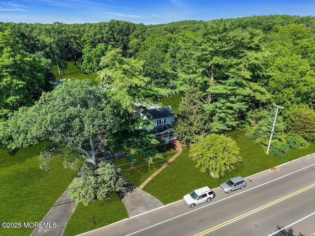 276 Chandler Rd, Jackson, NJ 08527 - bird's eye view of a heavily wooded area
