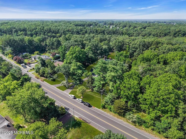 276 Chandler Rd, Jackson, NJ 08527 - bird's eye view of a heavily wooded area