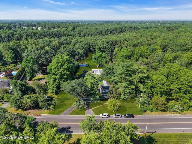 276 Chandler Rd, Jackson, NJ 08527 - bird's eye view of a heavily wooded area