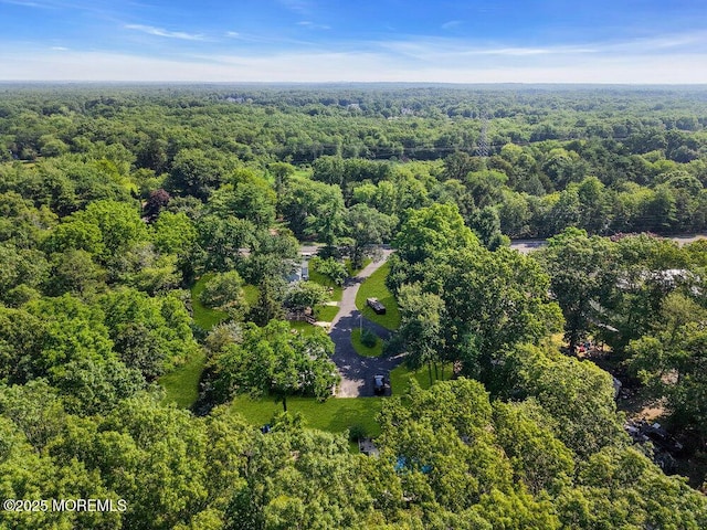 276 Chandler Rd, Jackson, NJ 08527 - drone / aerial view of a heavily wooded area