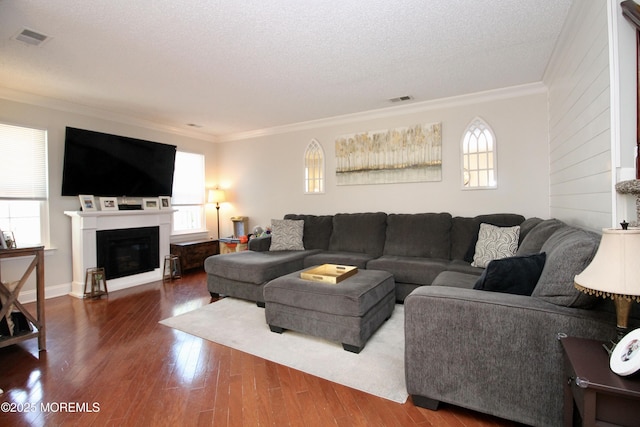 20 Atlantis Ter, Freehold, NJ 07728 - living room with ornamental molding, wood finished floors, a glass covered fireplace, and a textured ceiling