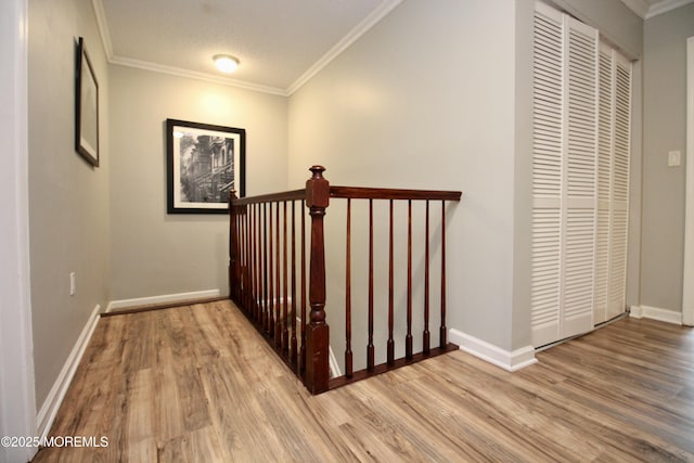 20 Atlantis Ter, Freehold, NJ 07728 - corridor with wood finished floors and crown molding