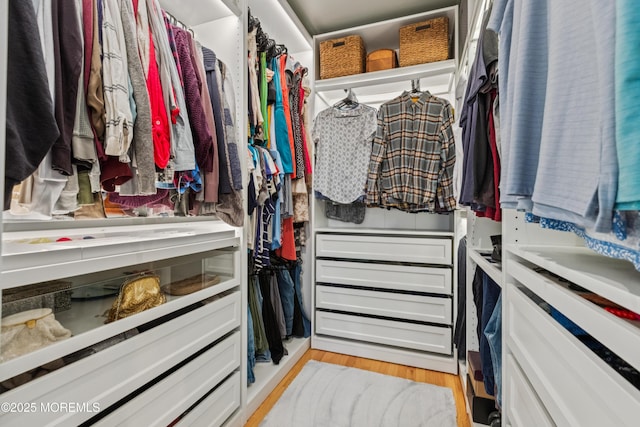 43 Sweet Gum Rd, Howell, NJ 07731 - walk in closet with light wood-type flooring