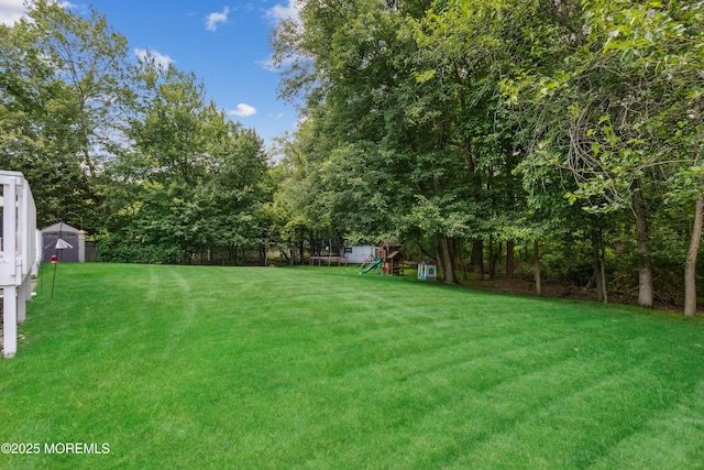 43 Sweet Gum Rd, Howell, NJ 07731 - view of green lawn featuring a playground, a shed, and view of scattered trees