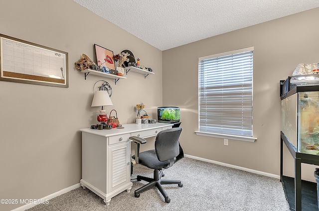 1106 Lilly Ln, Jackson, NJ 08527 - office with light carpet and a textured ceiling