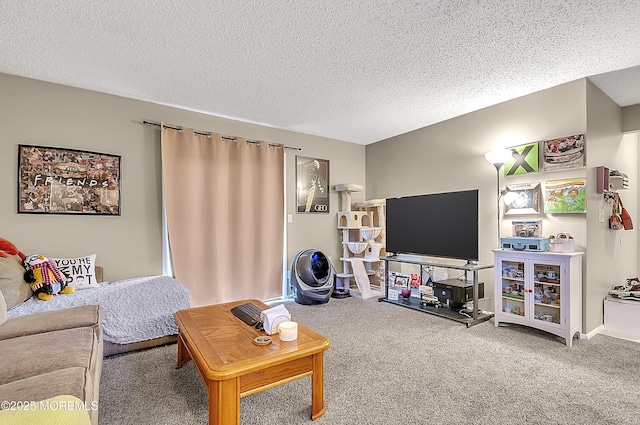 1106 Lilly Ln, Jackson, NJ 08527 - living room with a textured ceiling and carpet floors