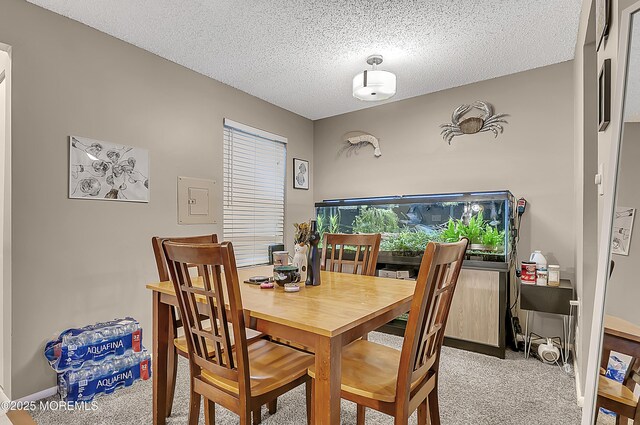 1106 Lilly Ln, Jackson, NJ 08527 - dining room featuring carpet floors and a textured ceiling