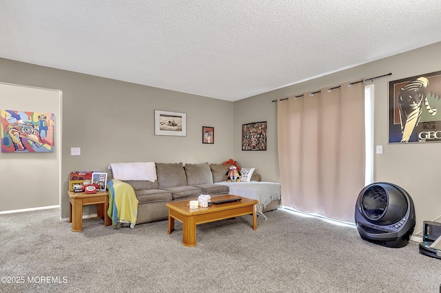 1106 Lilly Ln, Jackson, NJ 08527 - living area with carpet and a textured ceiling