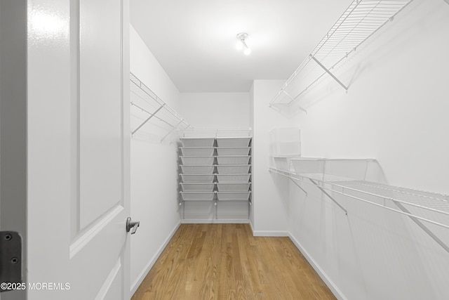 92 Wadsworth Ave, Lakewood, NJ 08701 - spacious closet featuring light wood-style floors