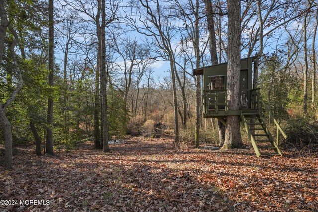 300 Grawtown Rd, Jackson, NJ 08527 - photo 57