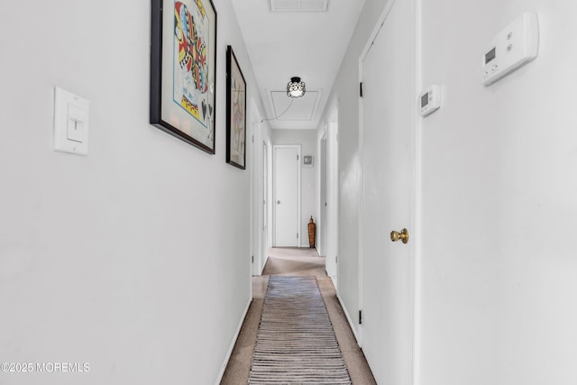 908 Madison Ave, Toms River, NJ 08757 - photo 50