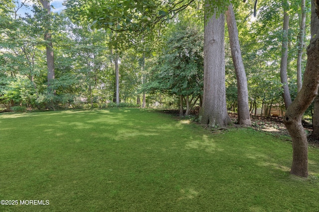 4 Hamilton Hill Rd, Lincroft, NJ 07738 - view of grassy yard