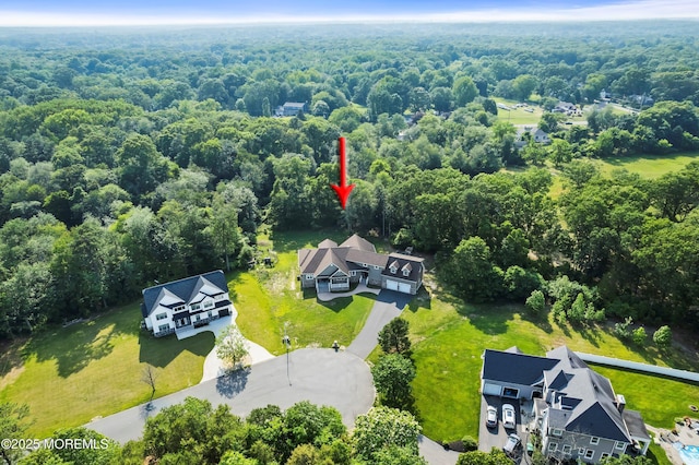 7 Rodeo Ct, Howell, NJ 07731 - bird's eye view of a forest